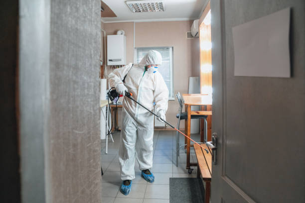 Dehumidification Services in Willmar, MN