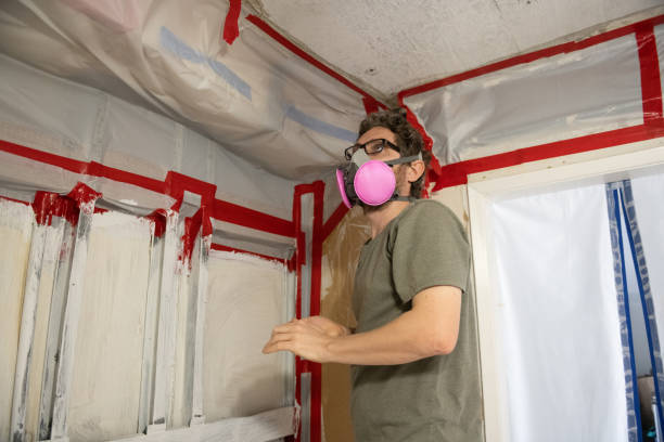 Best Air Quality Testing for Mold Spores  in Willmar, MN