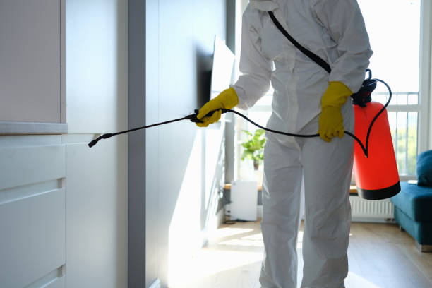 Forensic Mold Investigation in Willmar, MN