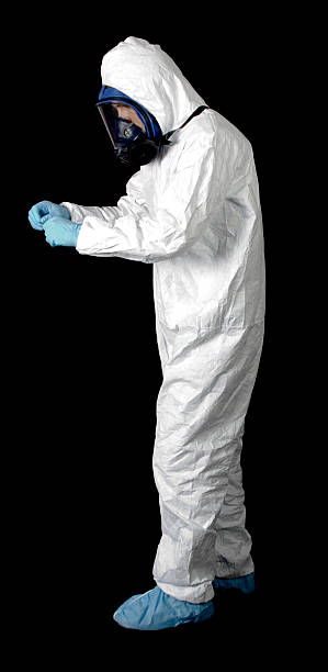 Best Attic Mold Removal  in Willmar, MN