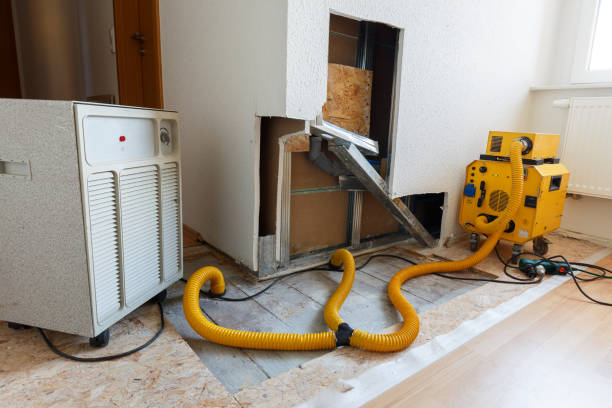 Best Commercial Mold Inspection  in Willmar, MN