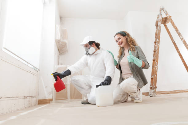 Best Real Estate Mold Inspection  in Willmar, MN