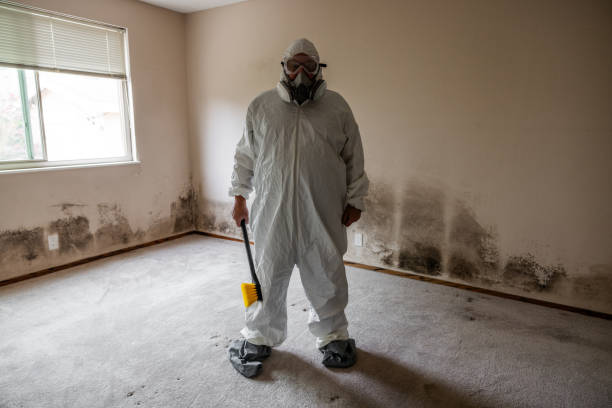 Best Airborne Mold Testing  in Willmar, MN